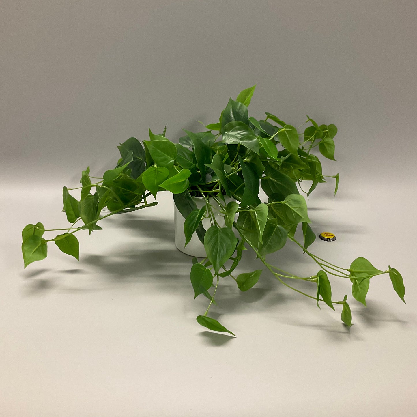 Pothos Potted Faux Plant