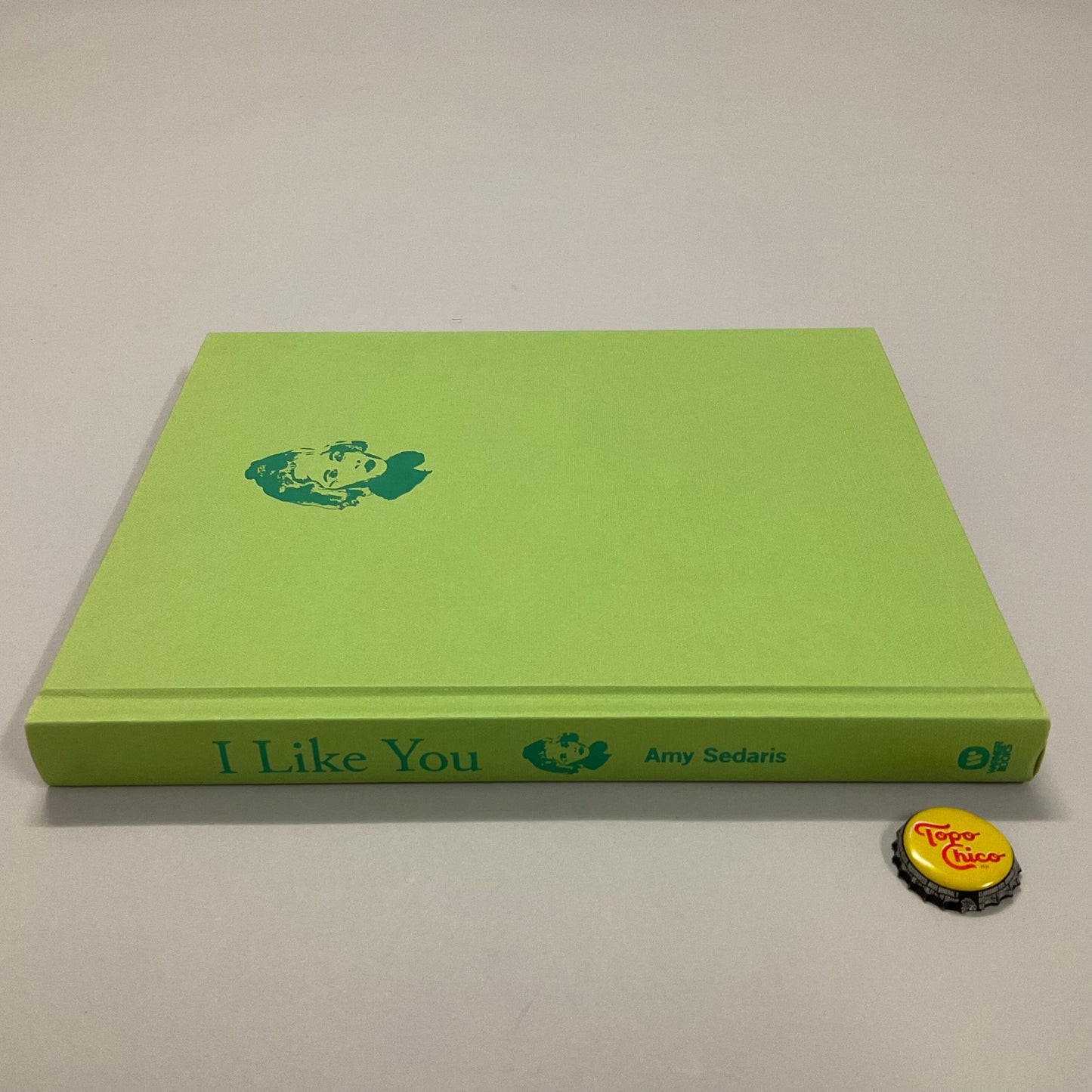 I Like You Book