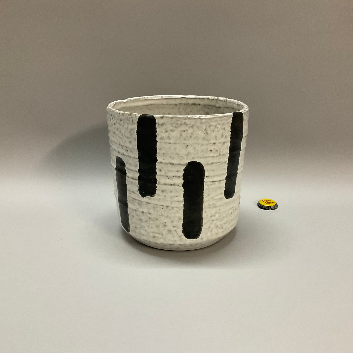 Modern Ceramic Planter