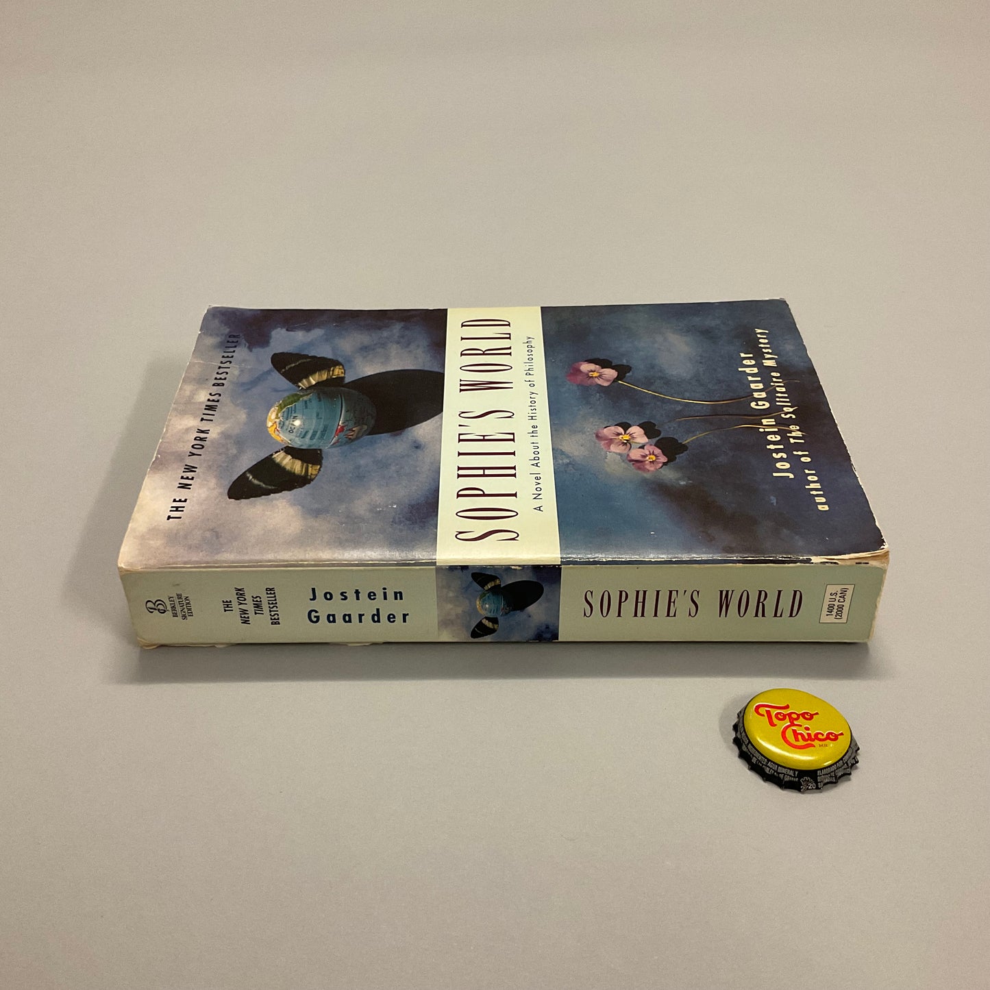 Sophie’s World Book