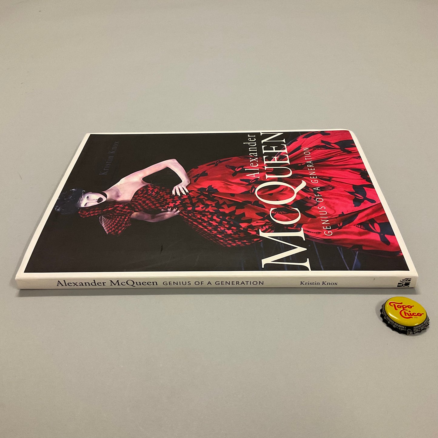 Alexander McQueen Book