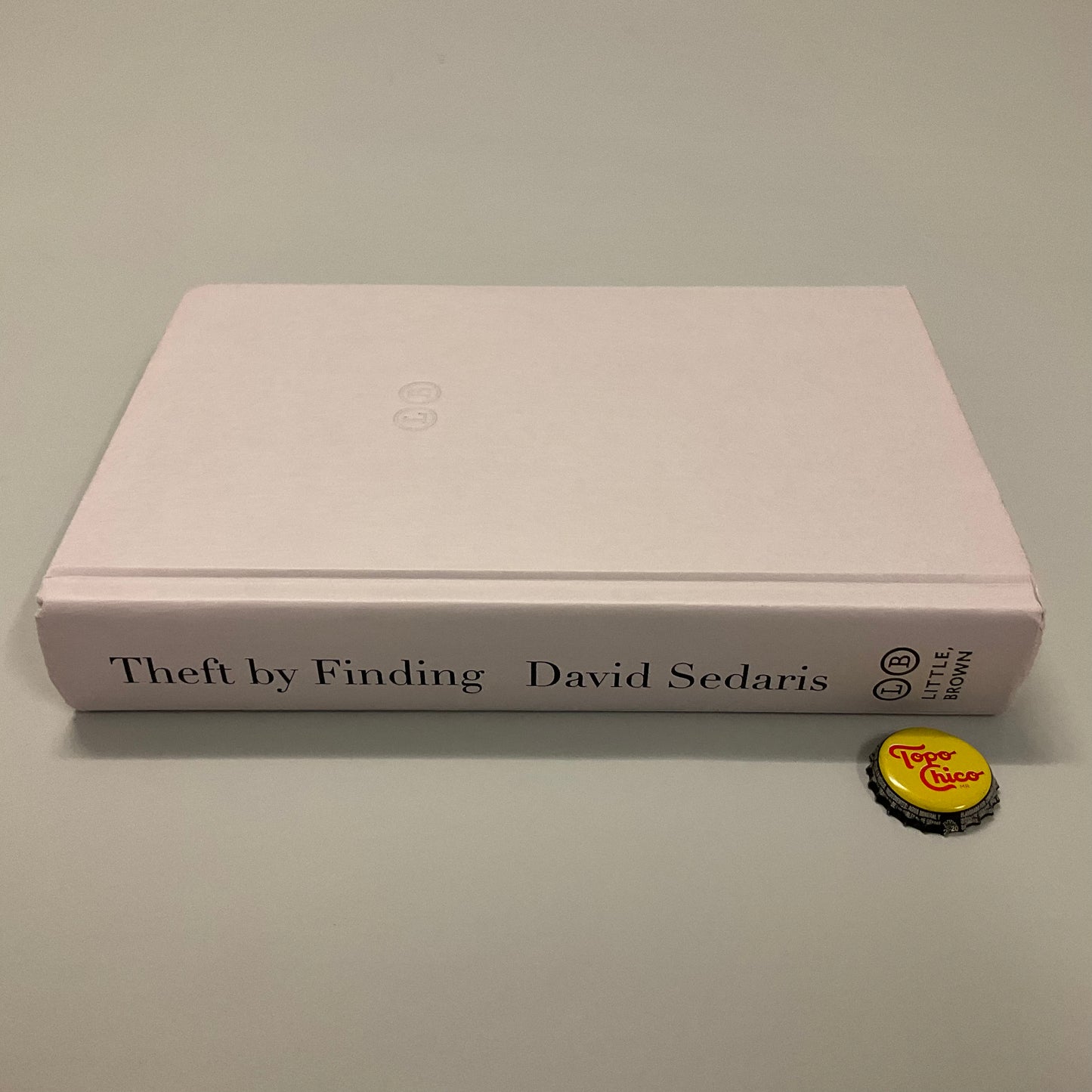 Theft by Finding Book