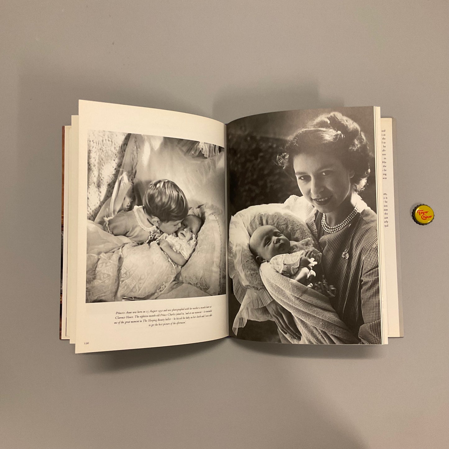 The Royal Portraits Book