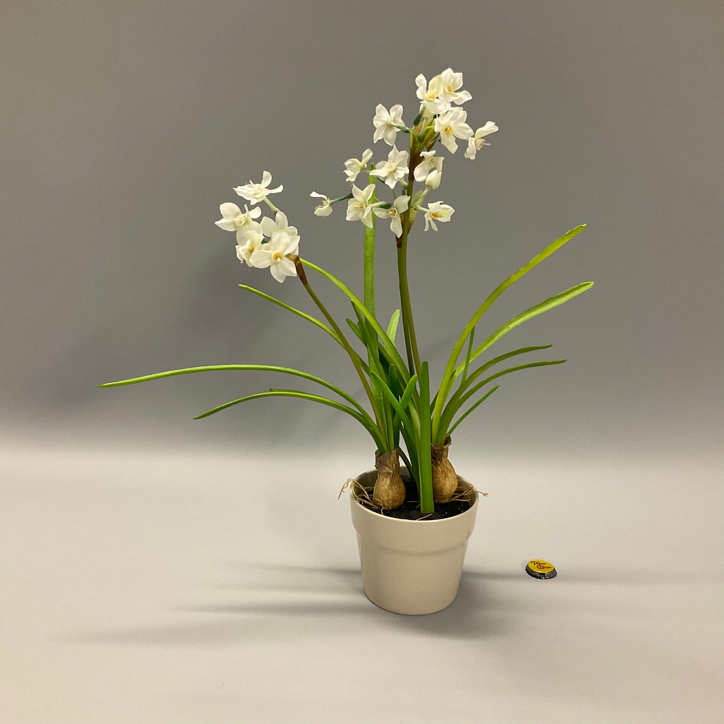 Faux Potted Paperwhite Plant