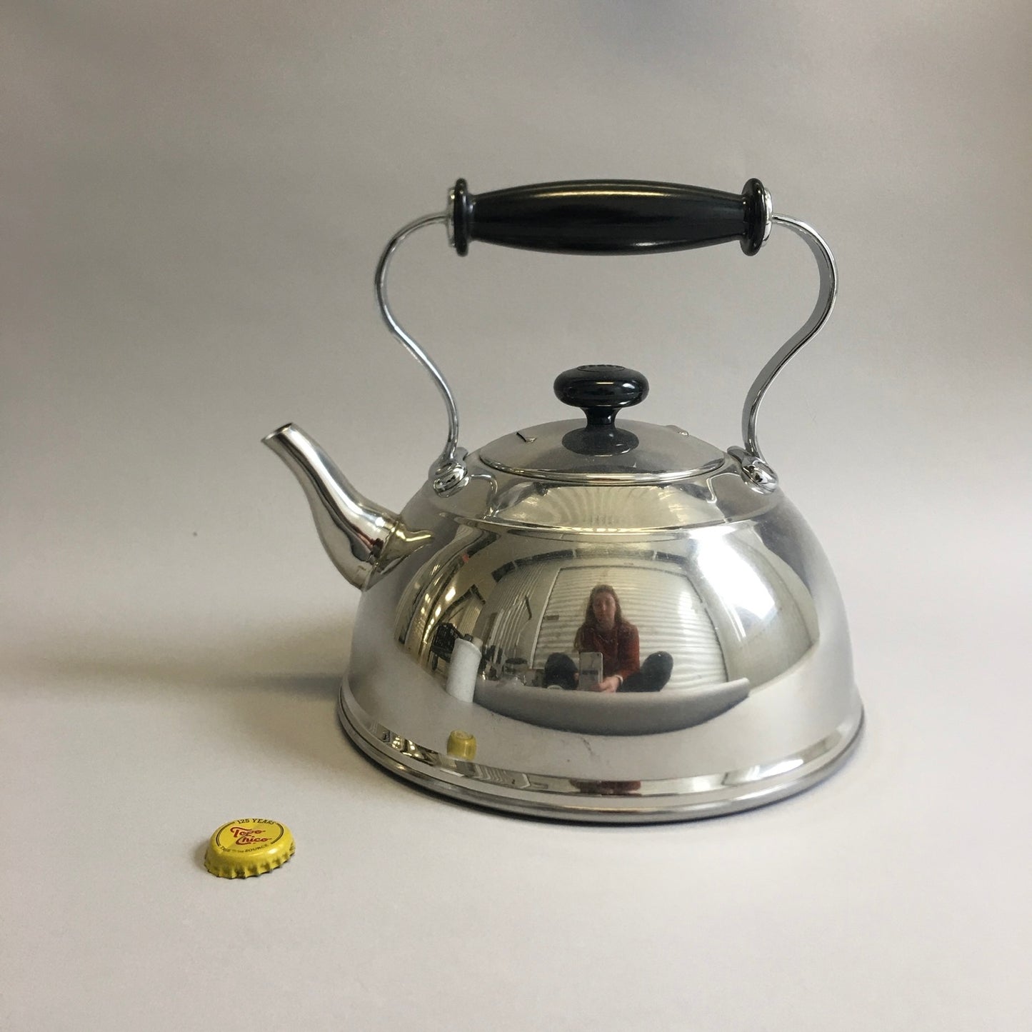 Large Stainless Steel Teapot