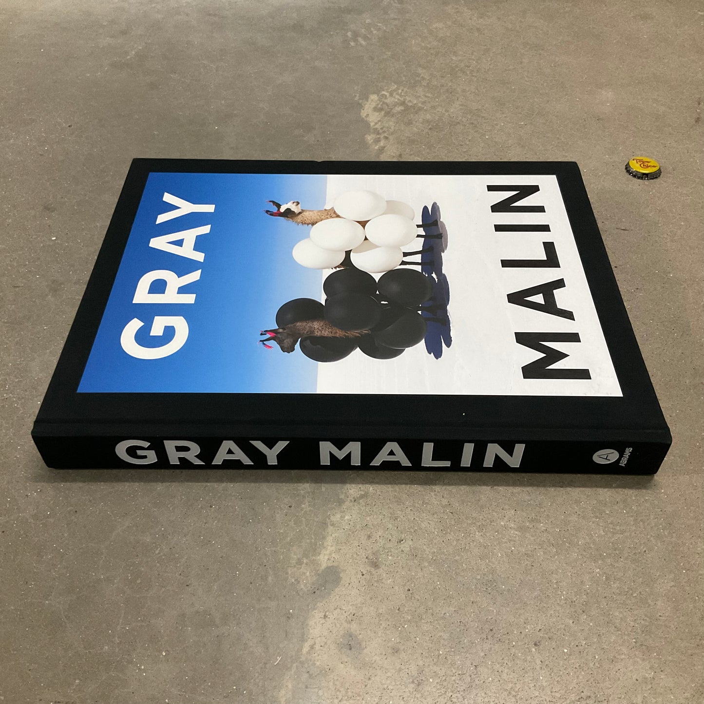 Gray Malin Book