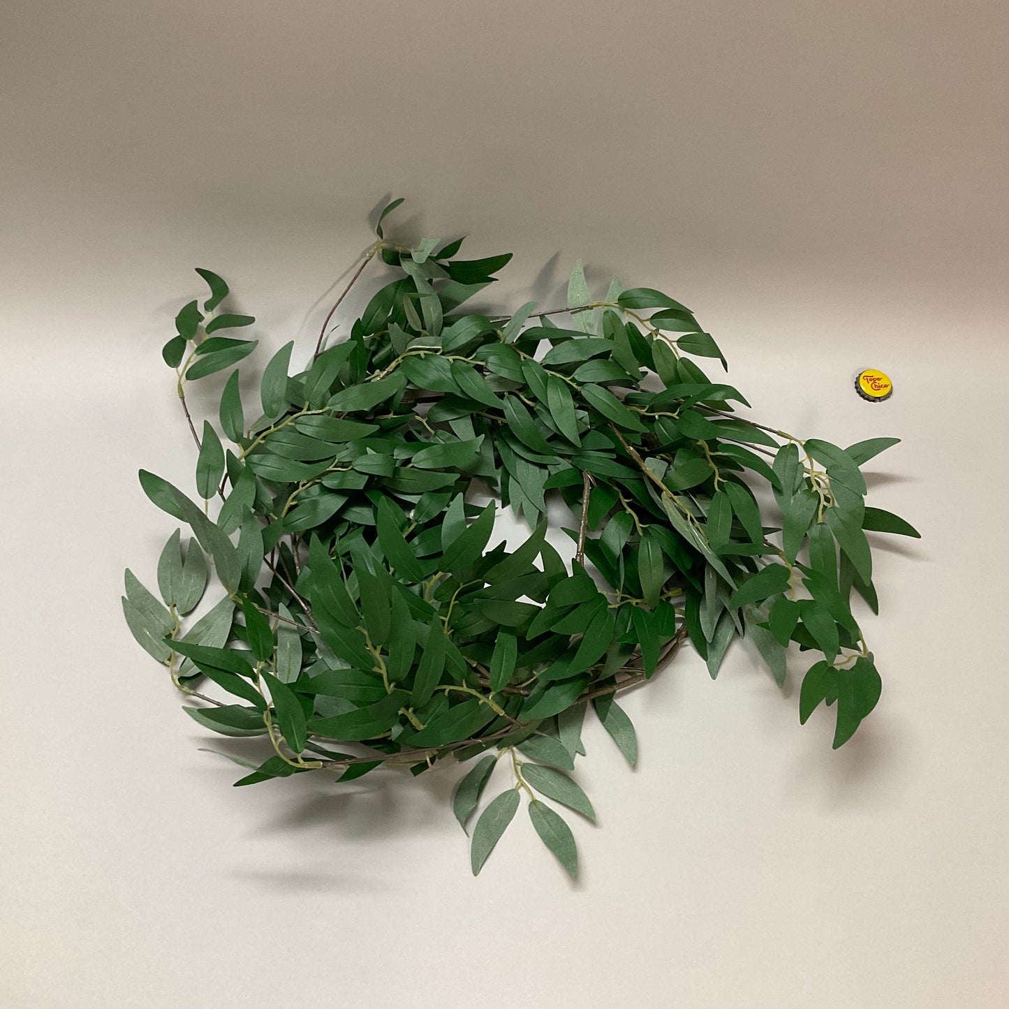 Potato Vine
