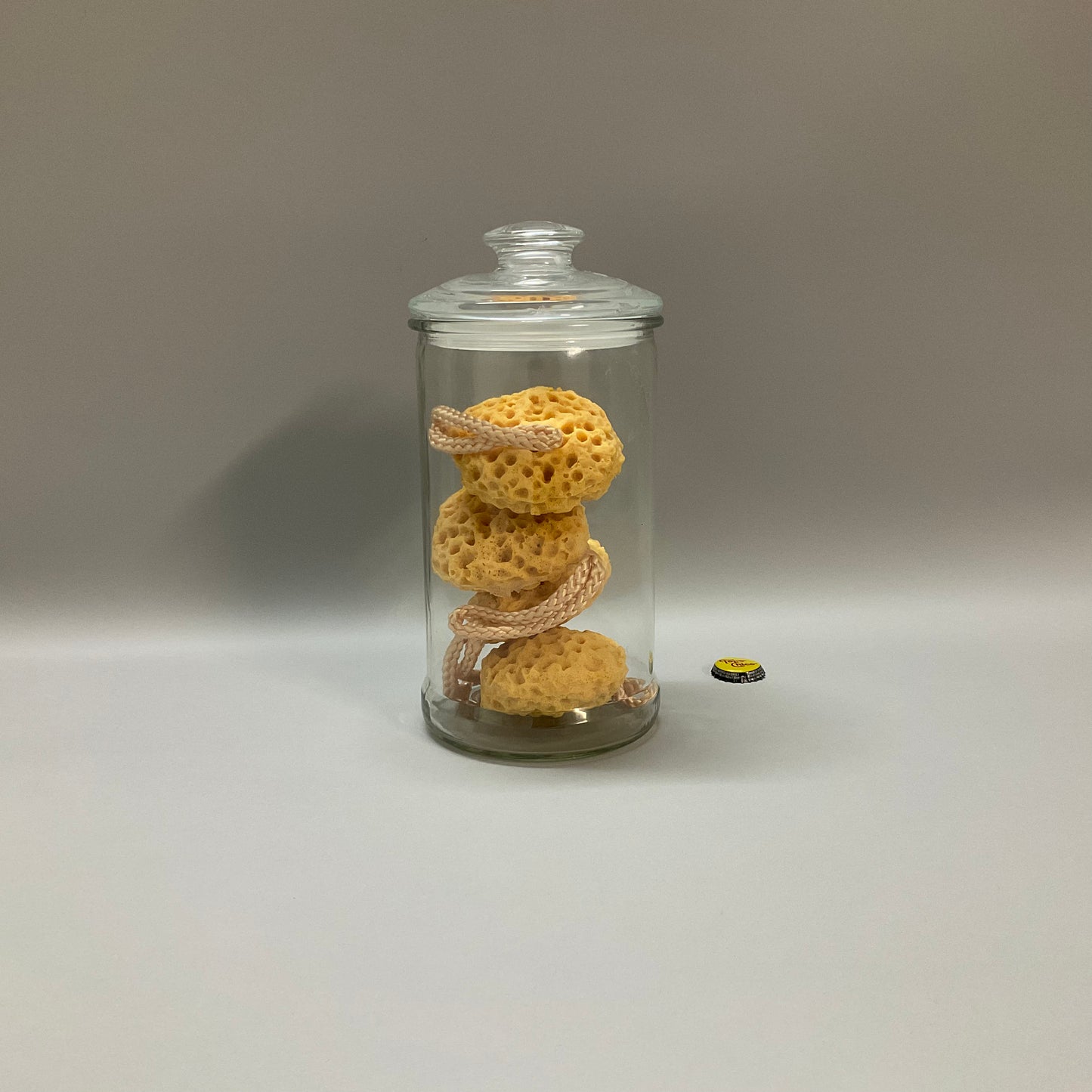 Glass Canister with Sponges