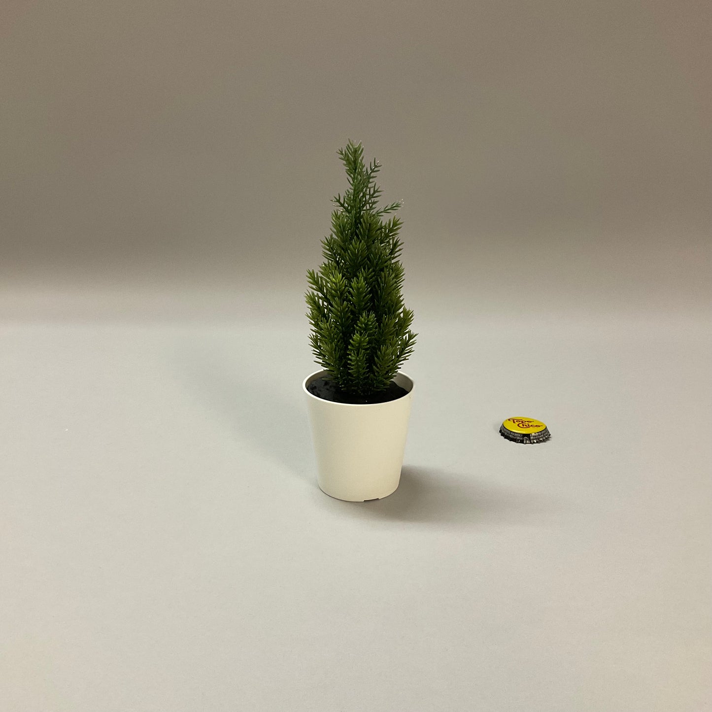 Faux Potted Evergreen