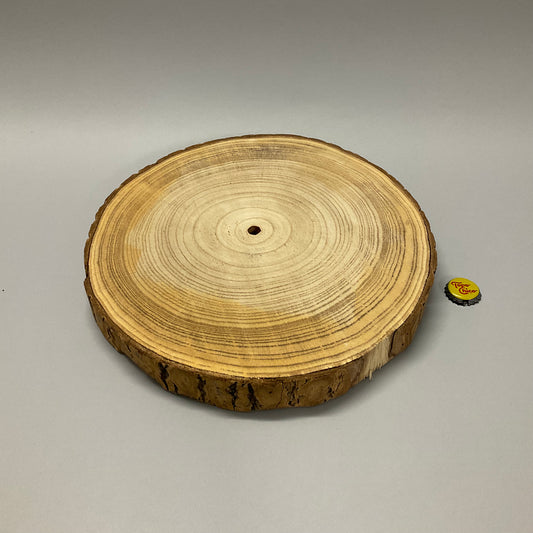 Large Paulownia Round Wood Slice