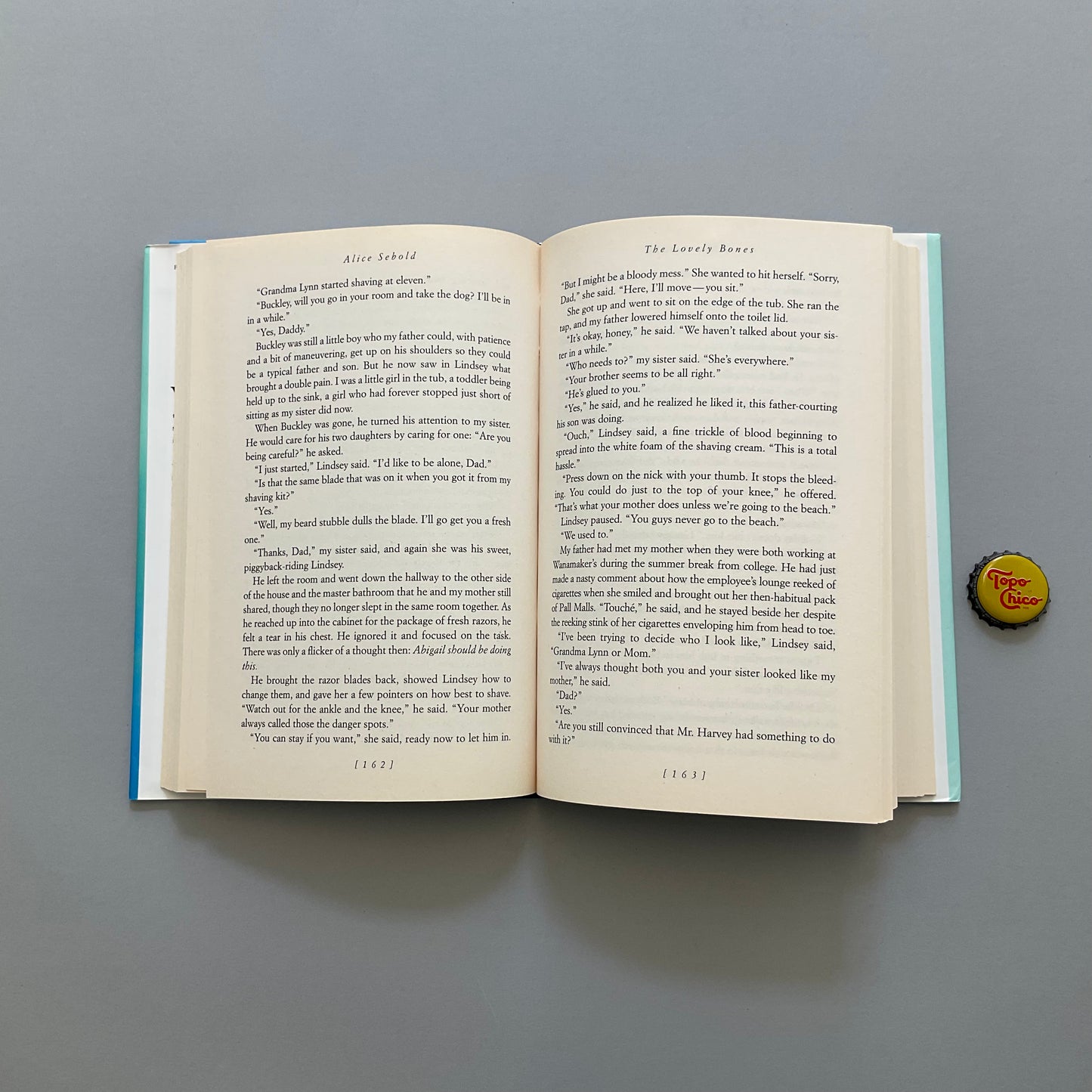 The Lovely Bones Book