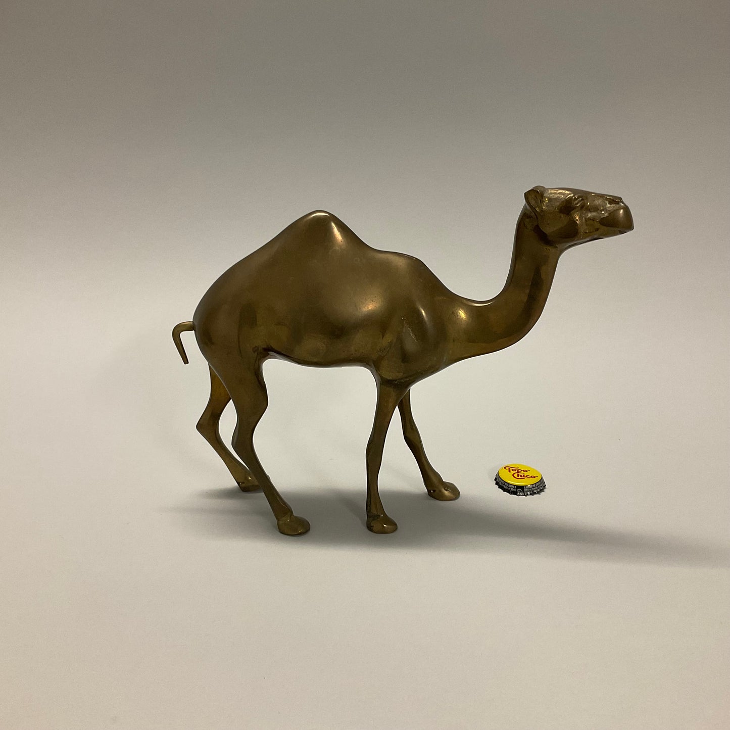 Brass Camel