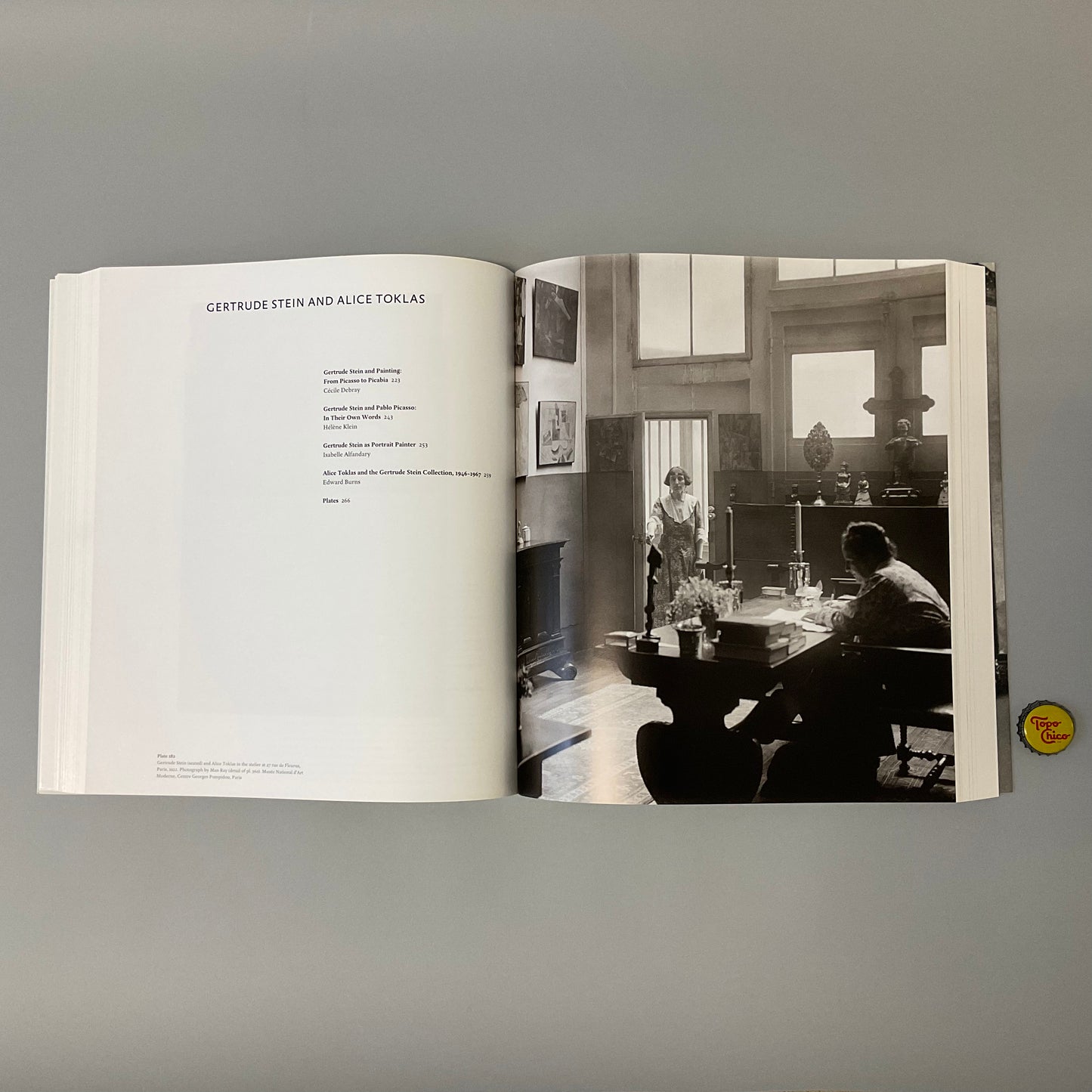 The Steins Collect Book