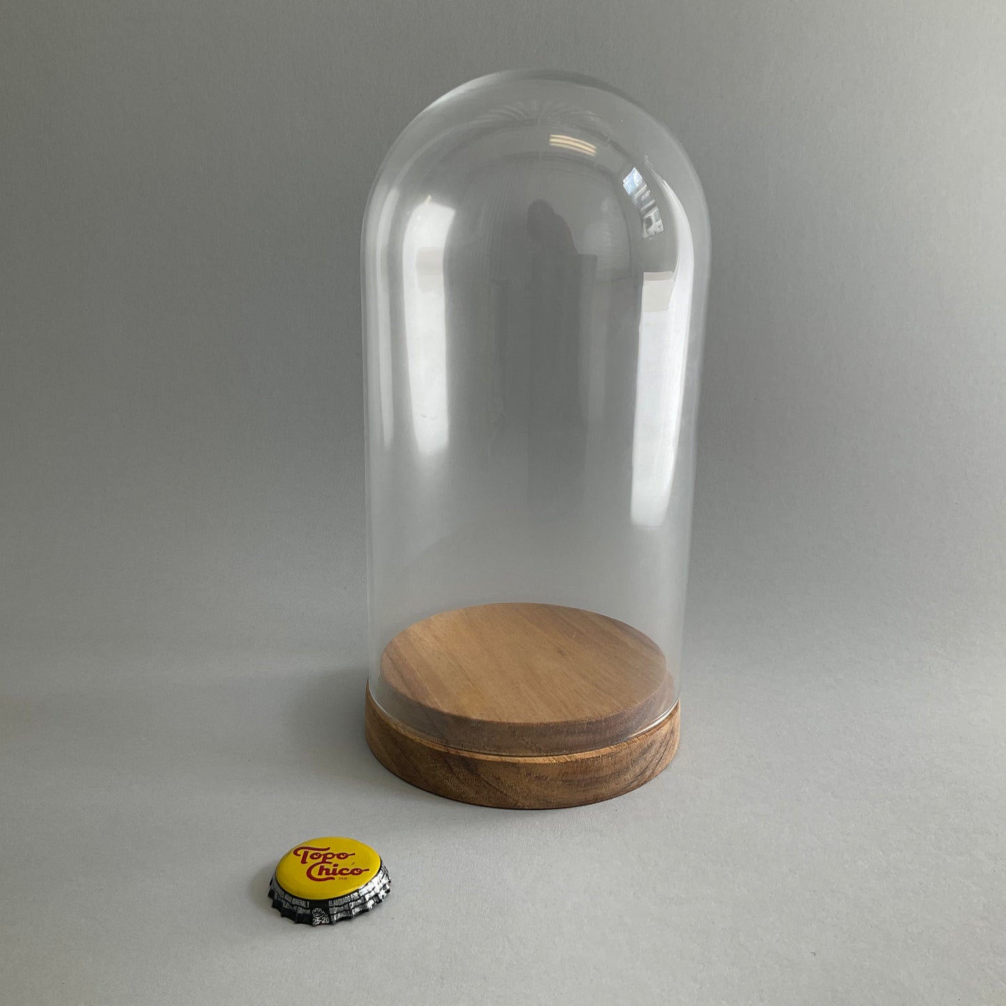 Glass Dome with Wood Base