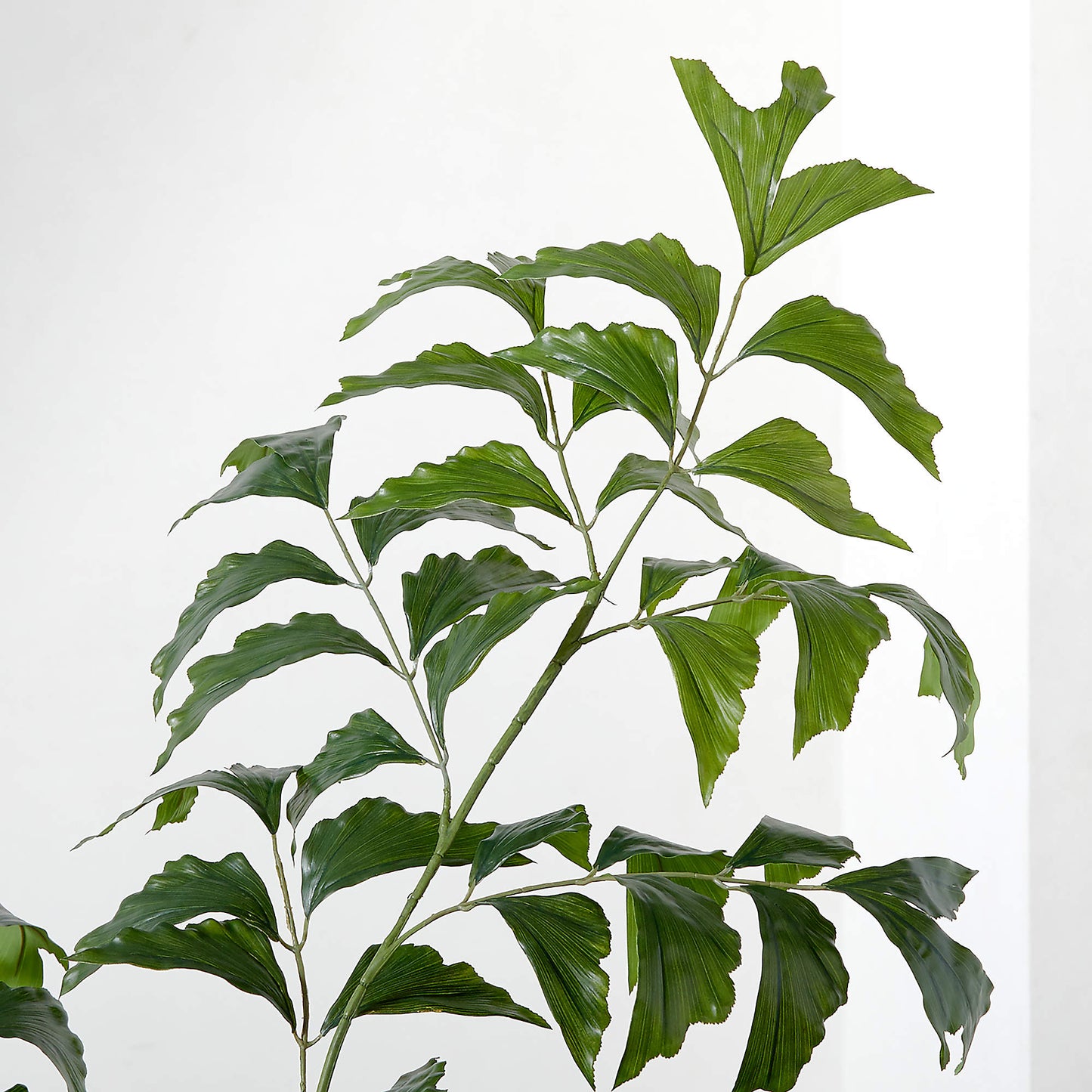 5' Faux Fishtail Palm