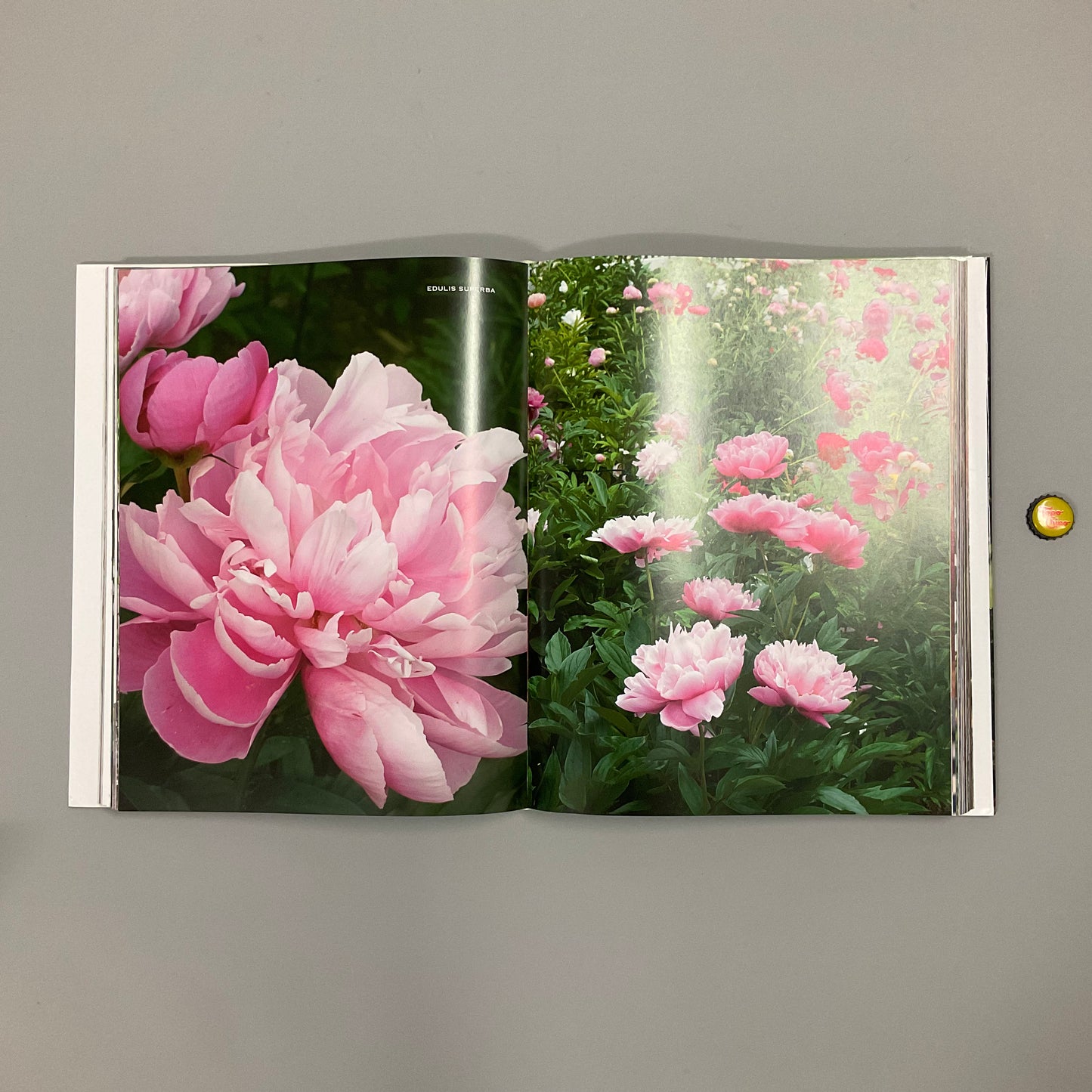 Flowers Book