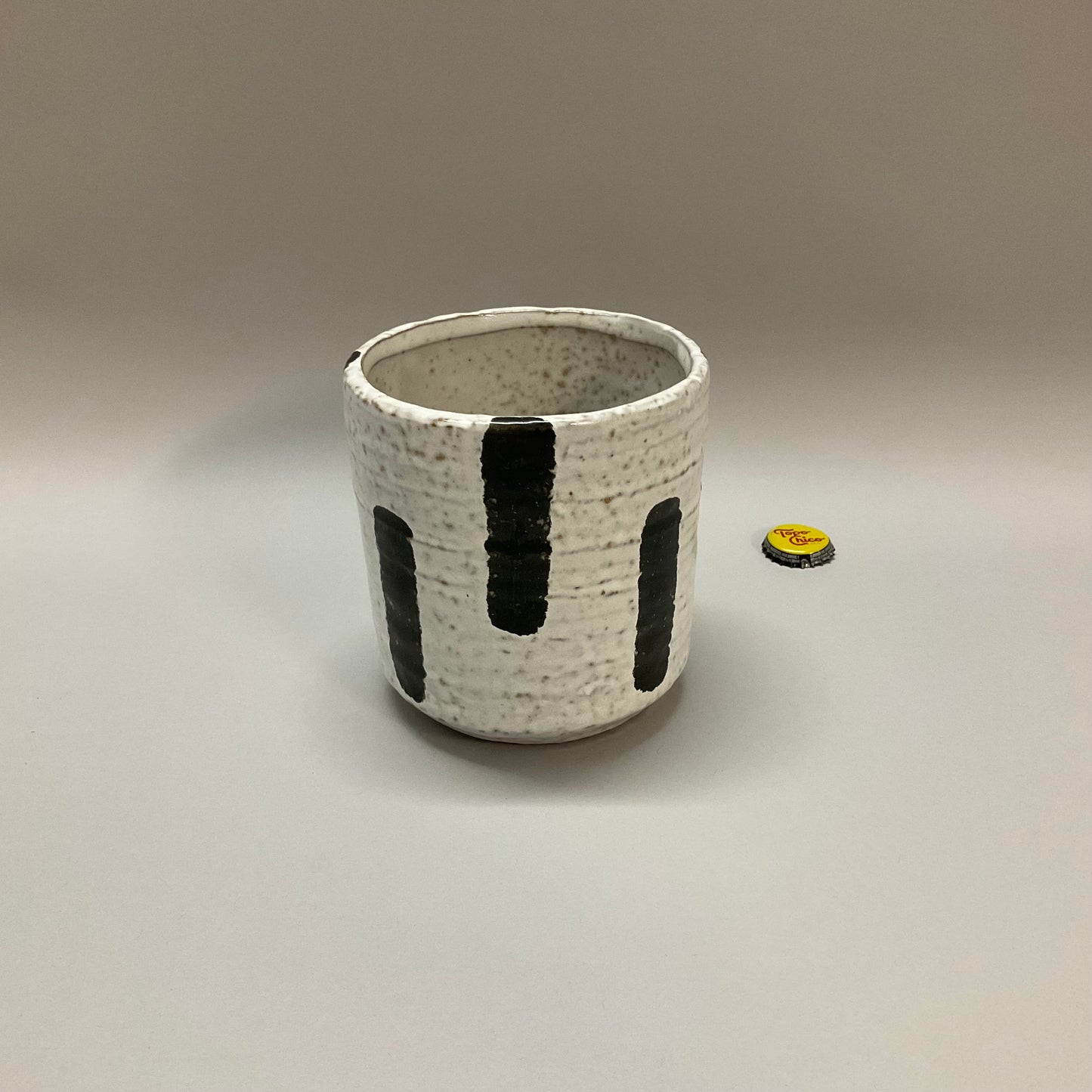 Modern Ceramic Planter