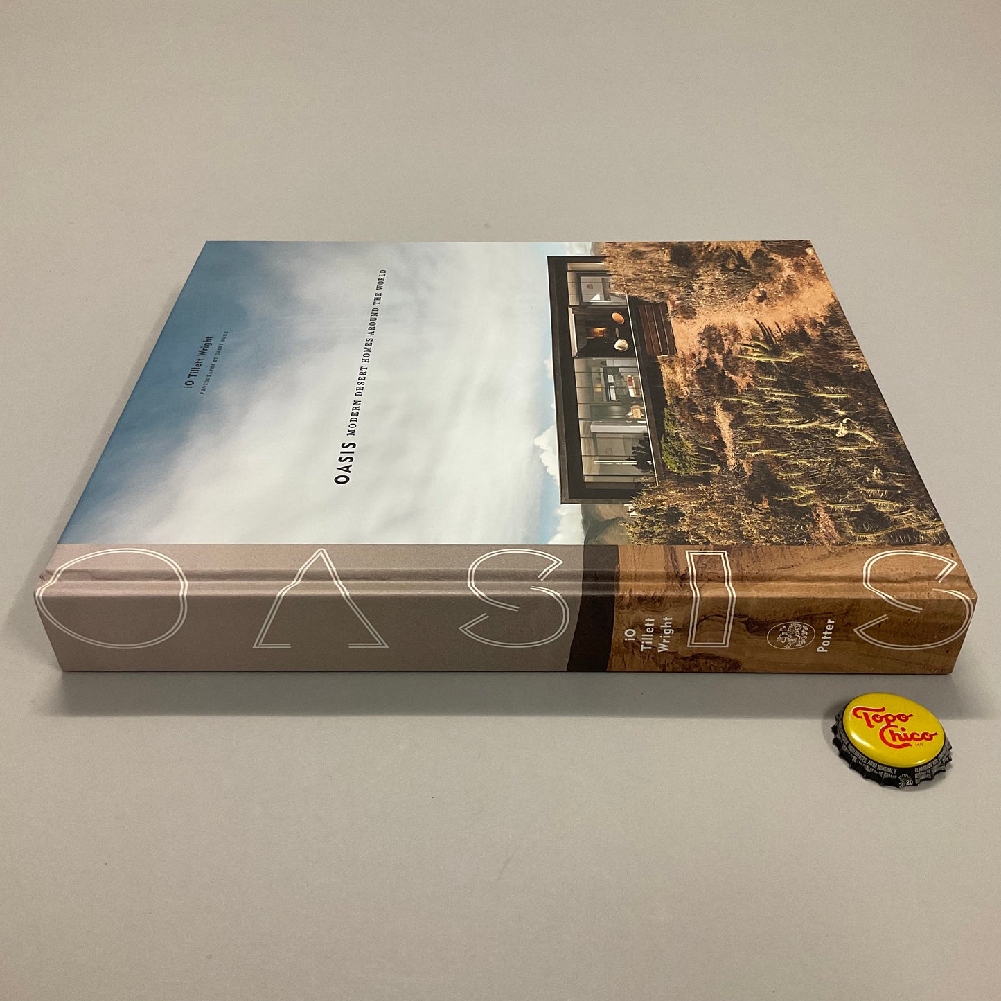 Oasis Modern Desert Homes Around the World Book