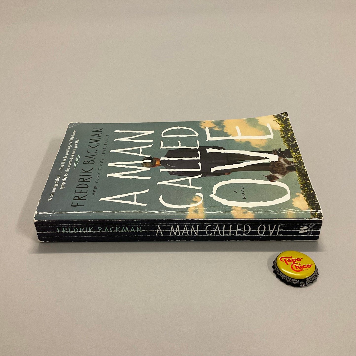 A Man Called Ove Book