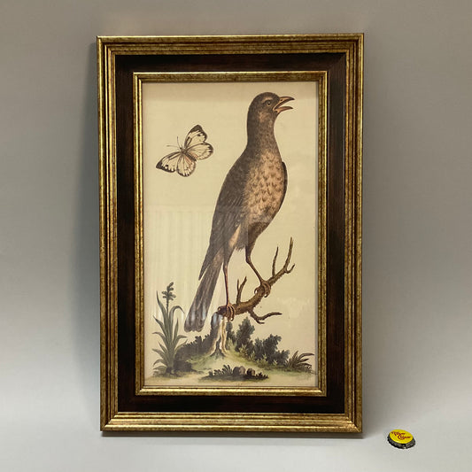 Framed Bird Painting