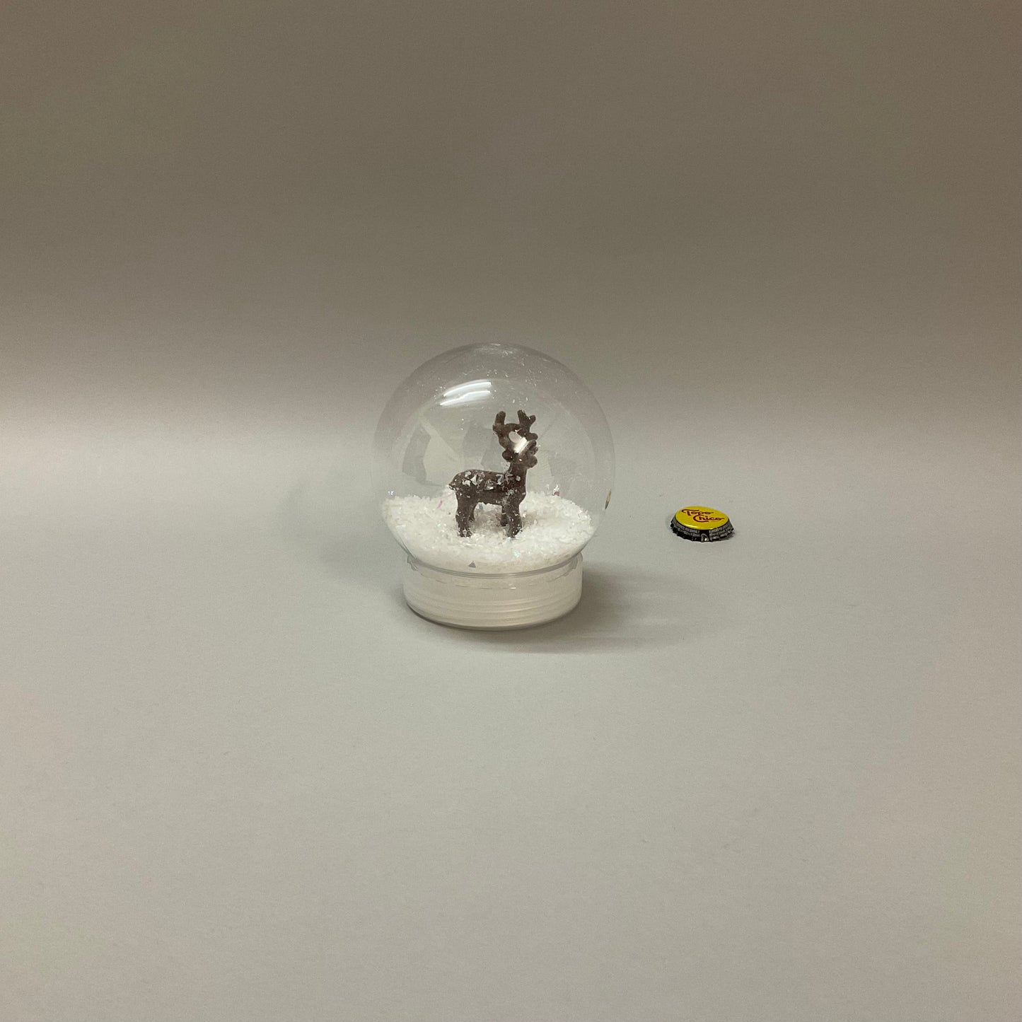 Plastic Snow Globe