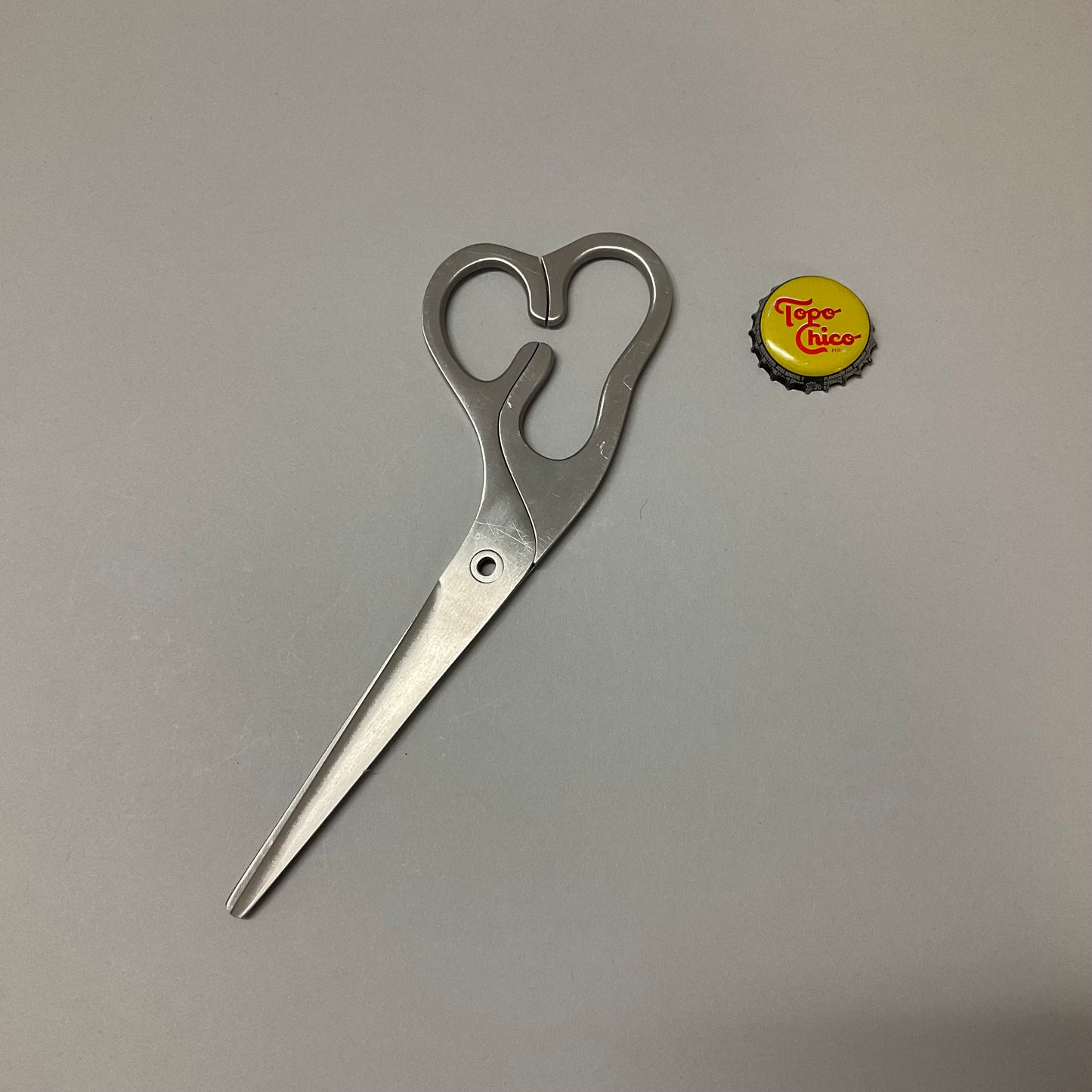 Stainless Steel Scissors