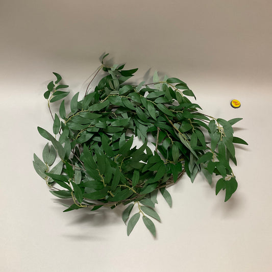 Potato Vine