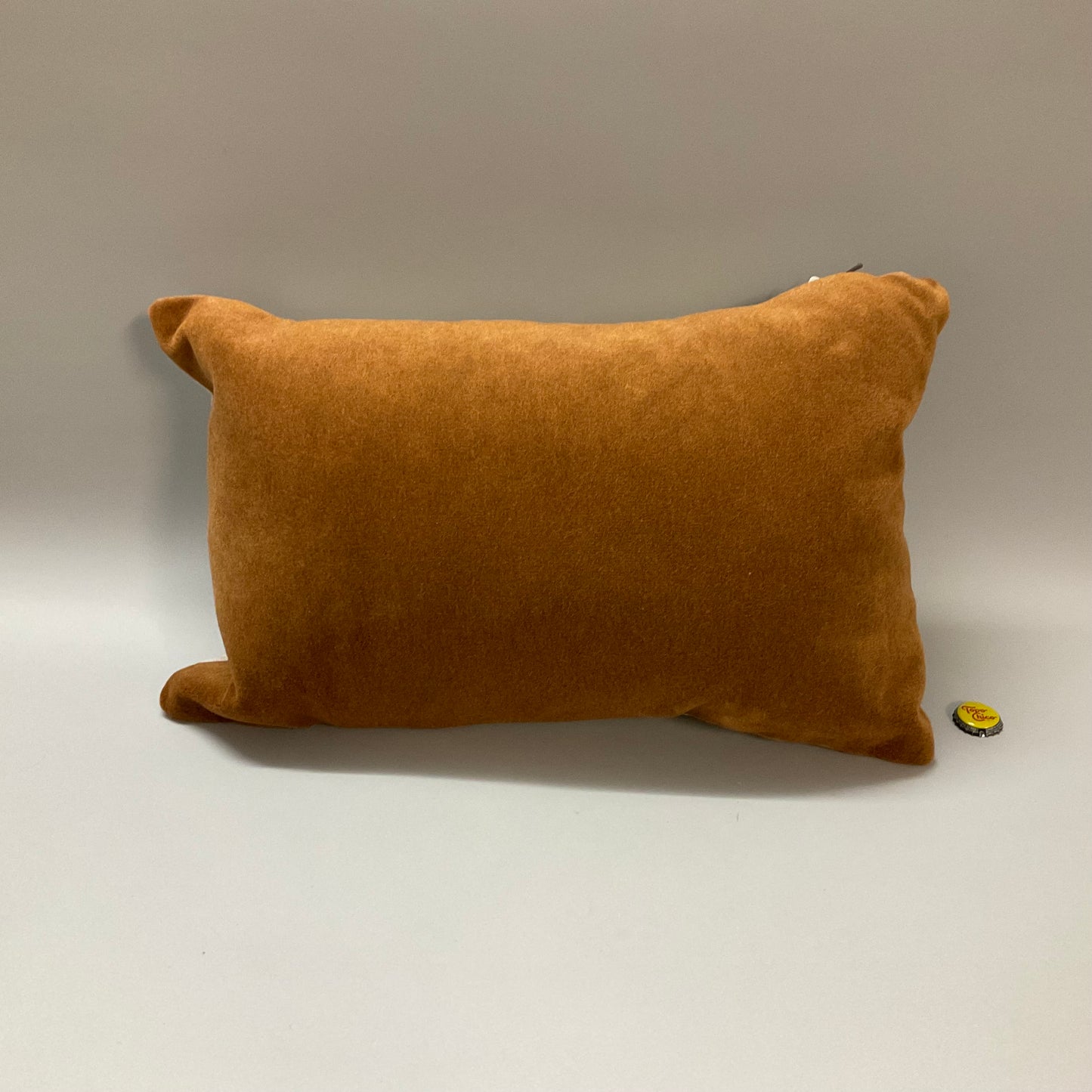 Wool Velvet Throw Pillows