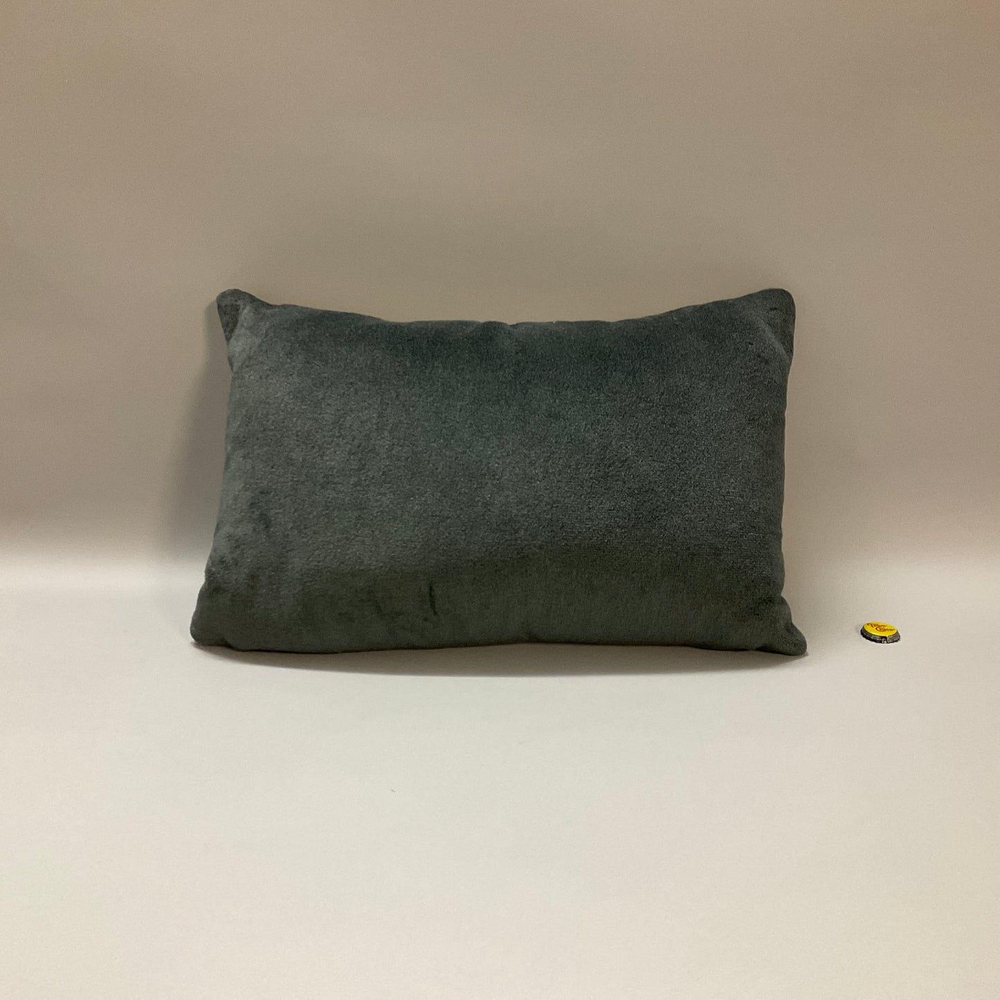 Wool Velvet Throw Pillows