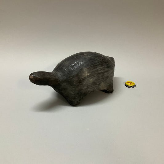 Black Turtle