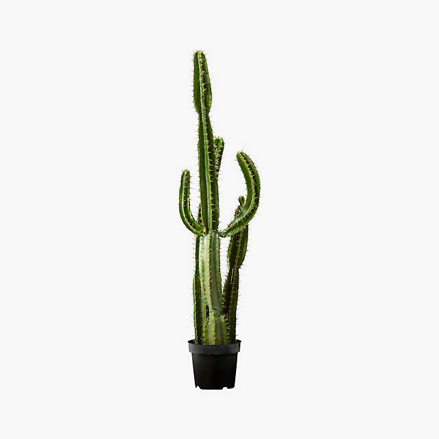 60" Faux Cardón Cactus