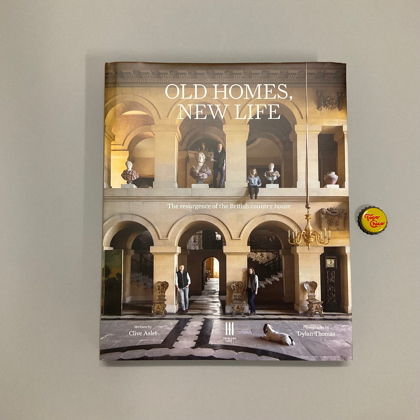 Old Homes, New Life Book