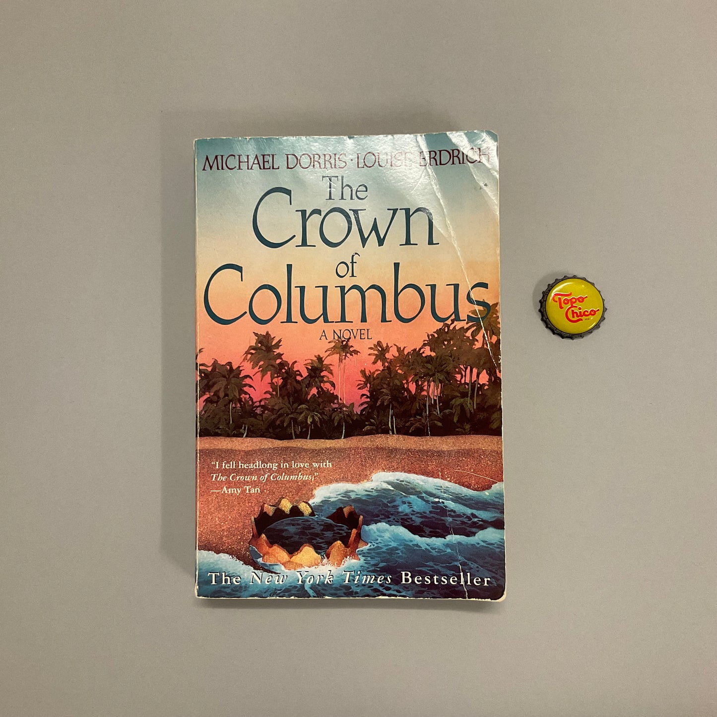 The Crown of Columbus Book