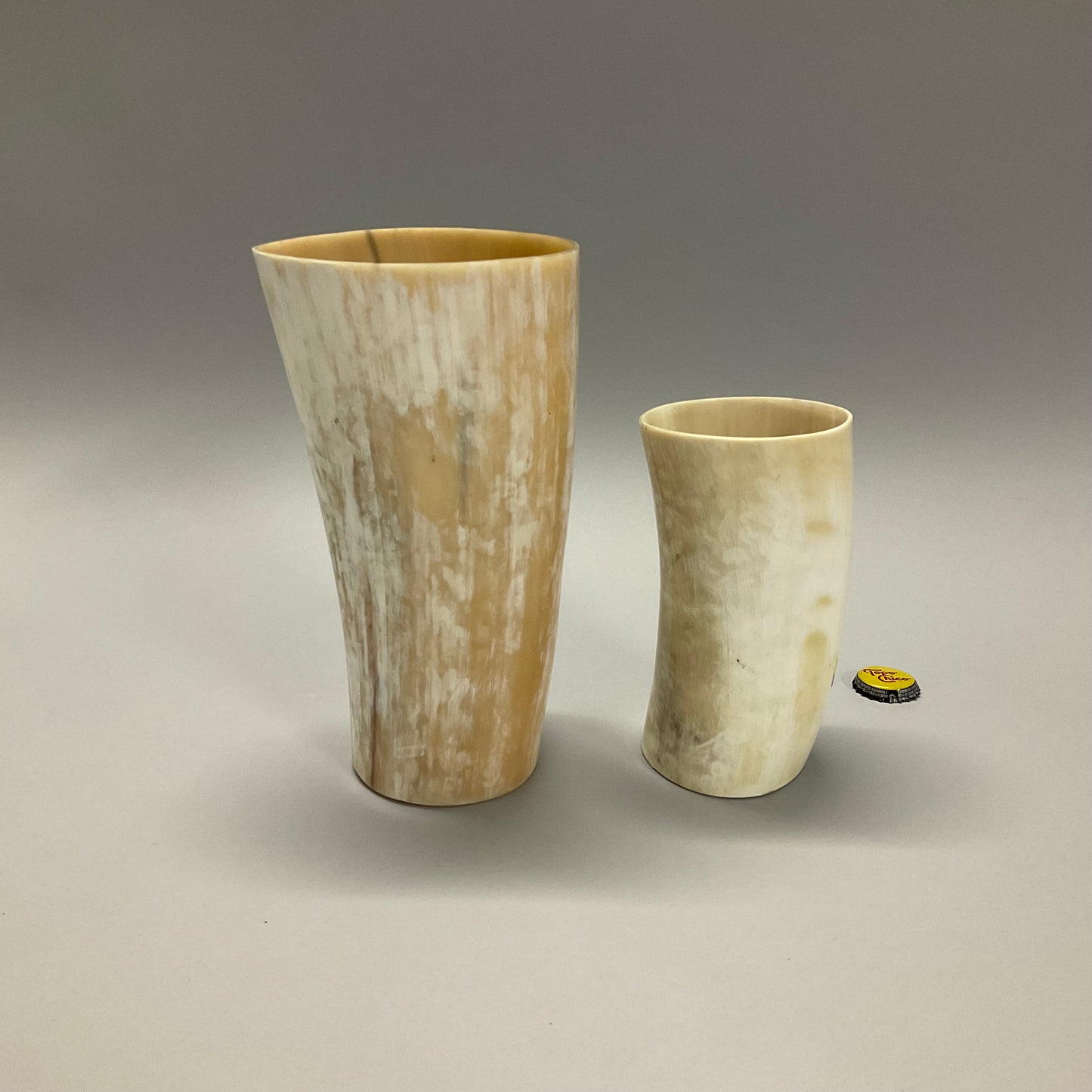 Akola Horn Vases