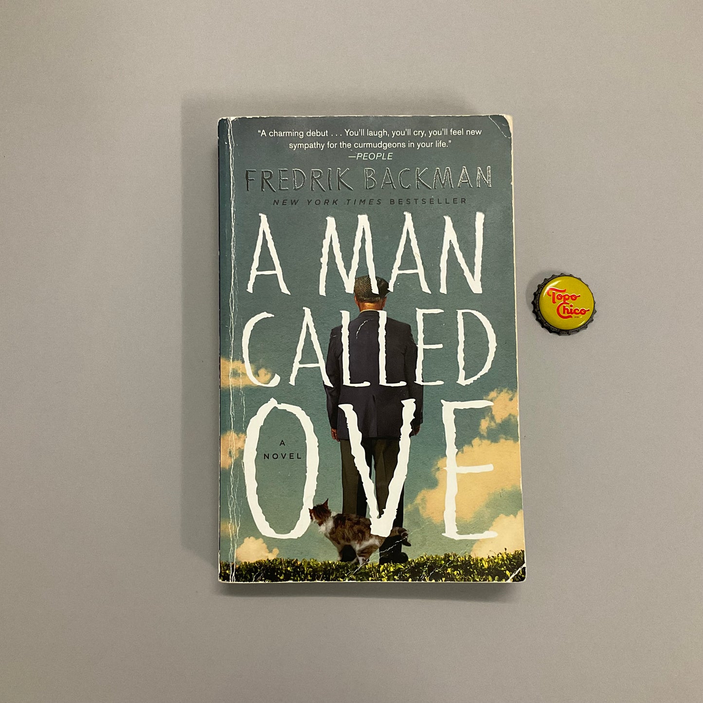 A Man Called Ove Book