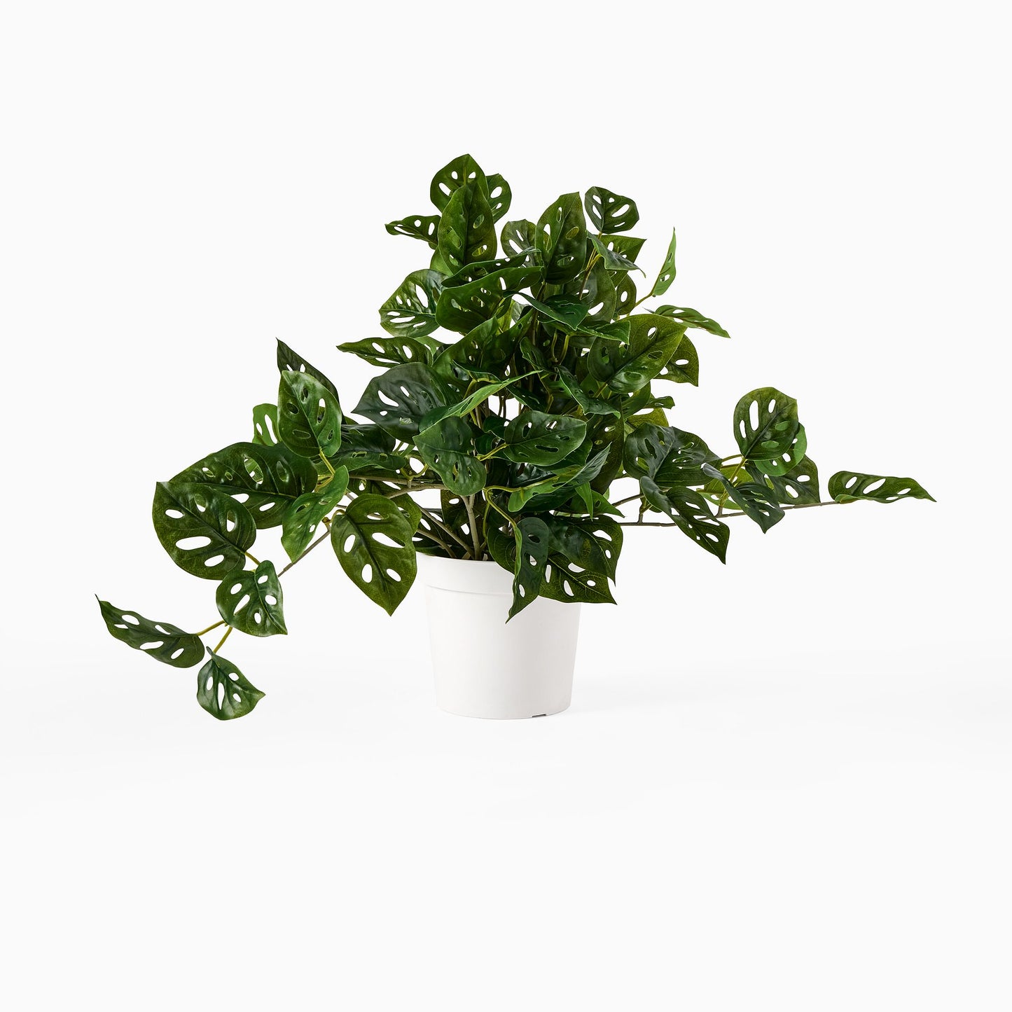 Faux Potted Trailing Monstera