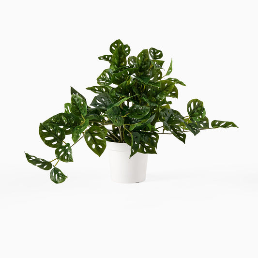 Faux Potted Trailing Monstera