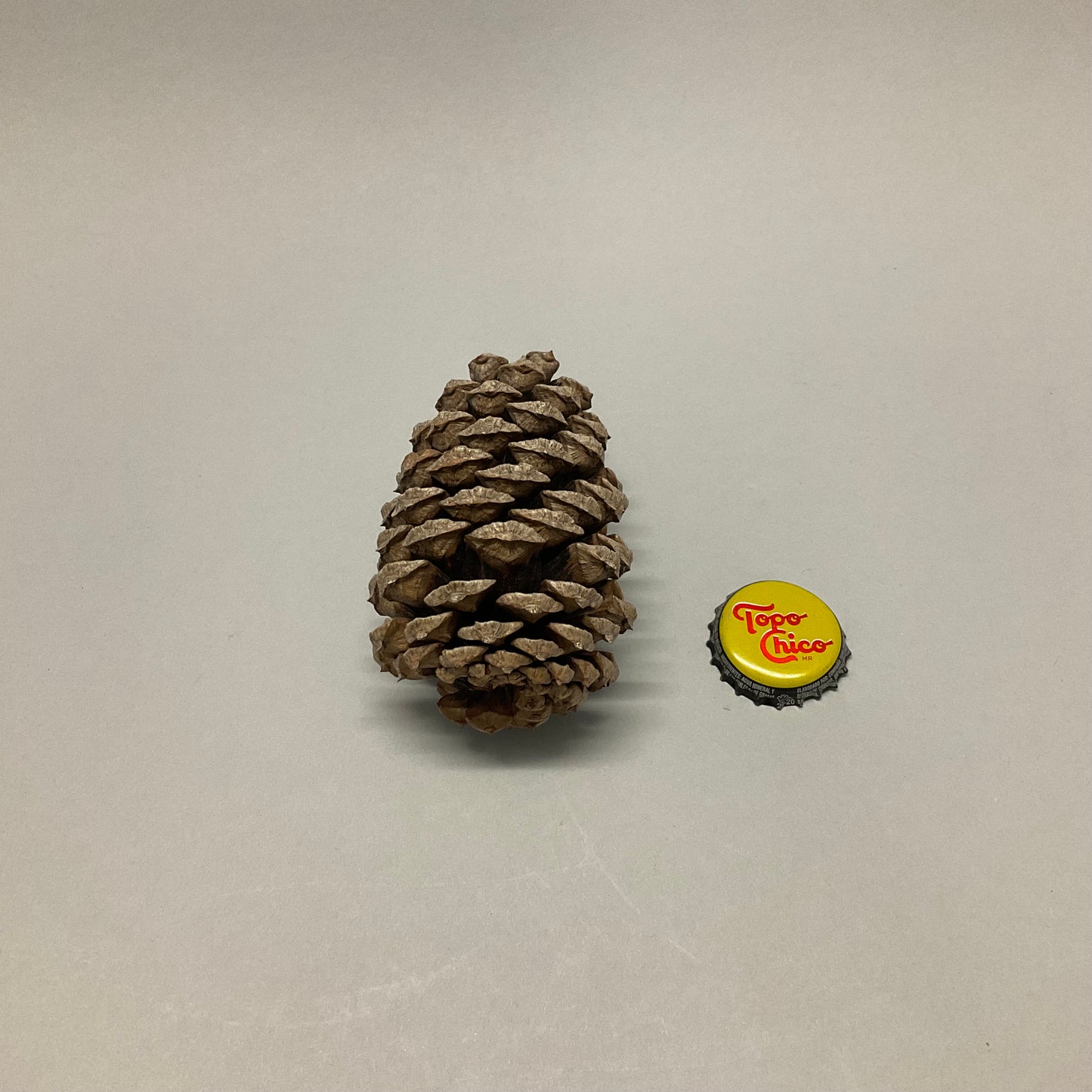 Small Pinecones