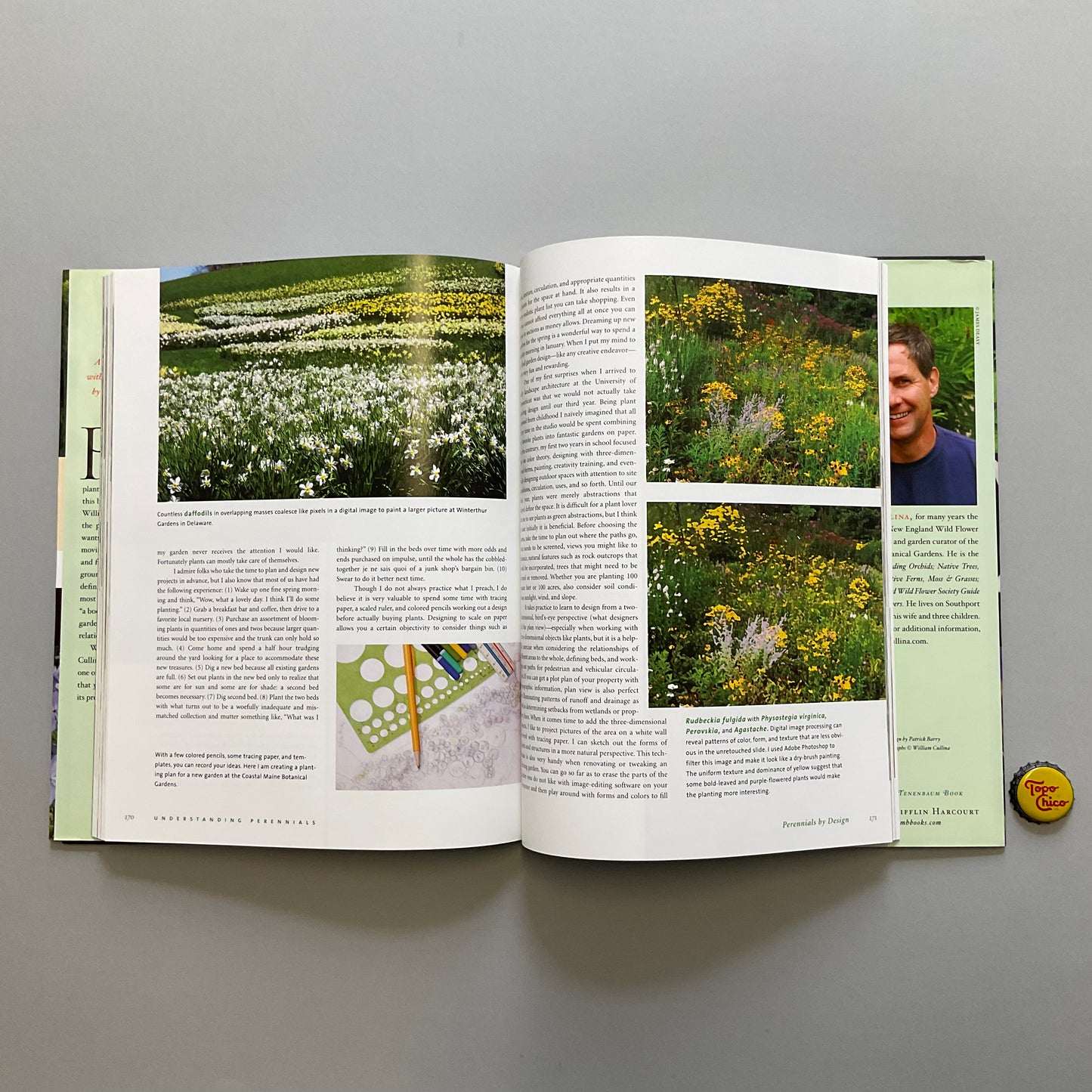 Understanding Perennials Book