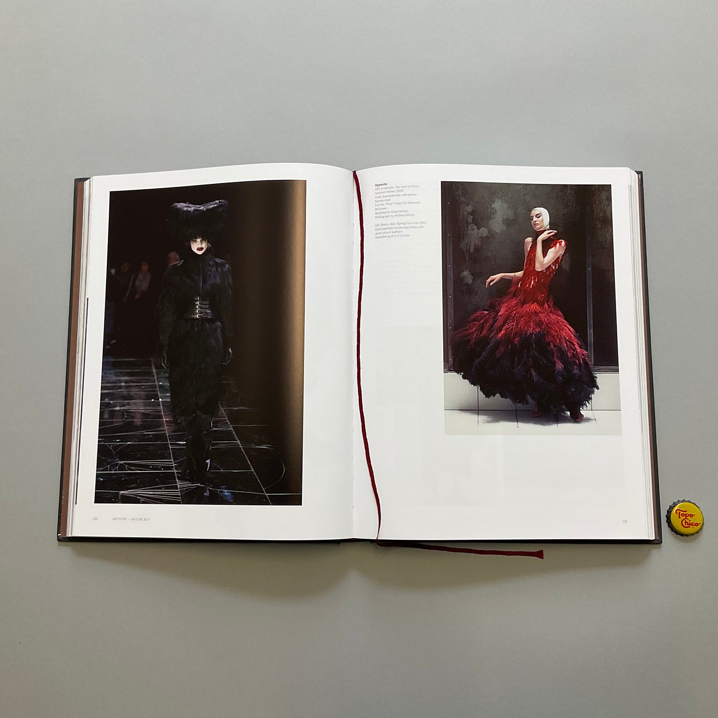 Alexander McQueen Book