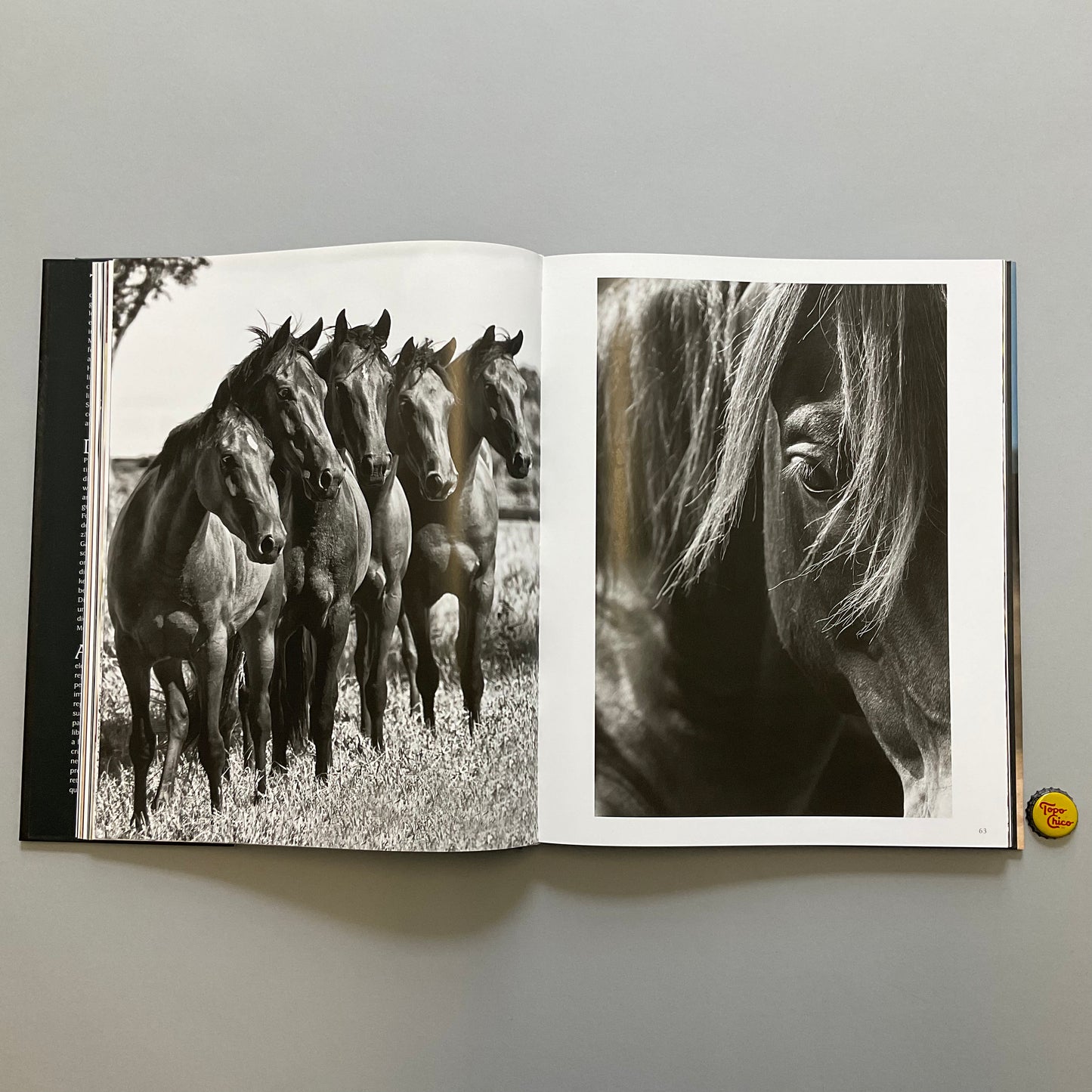 Equine Beauty Book