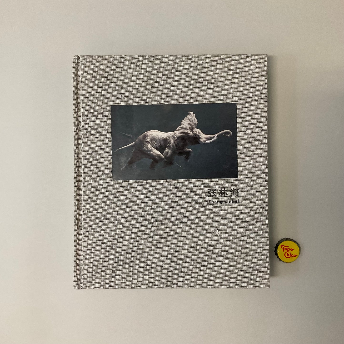 Zhang Linhai Book