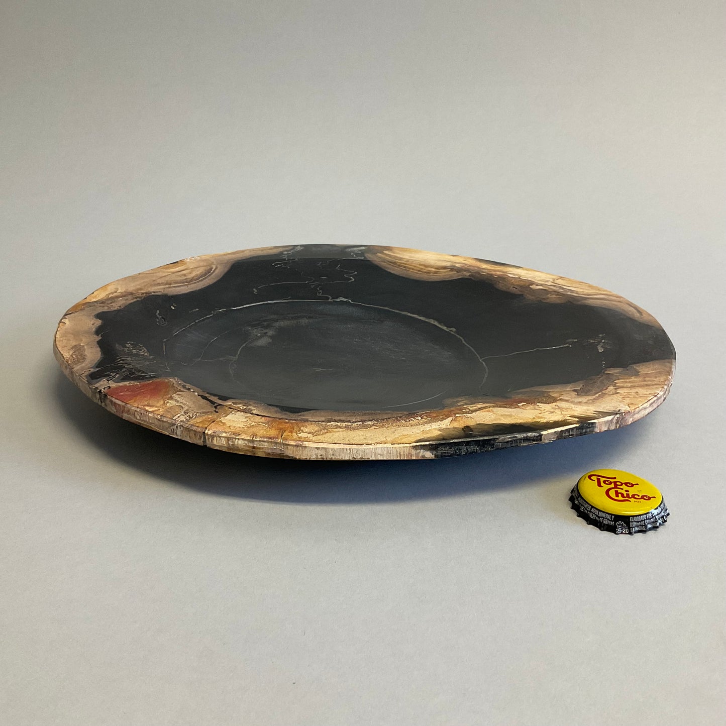 Petrified Wood Tray