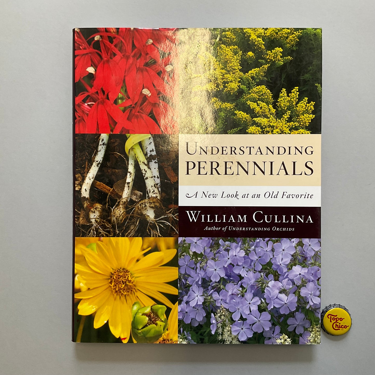 Understanding Perennials Book