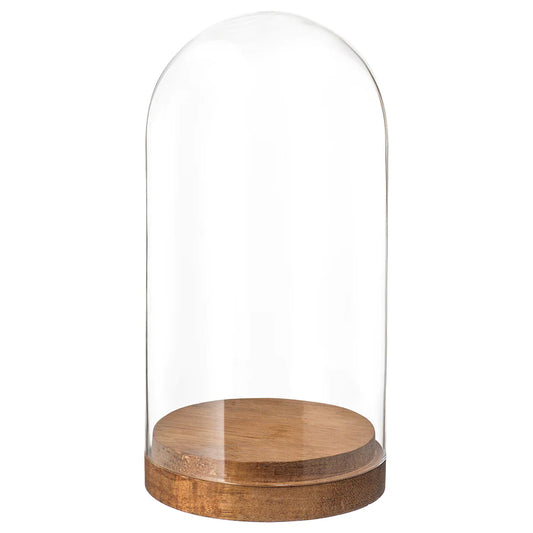 Glass Dome with Wood Base