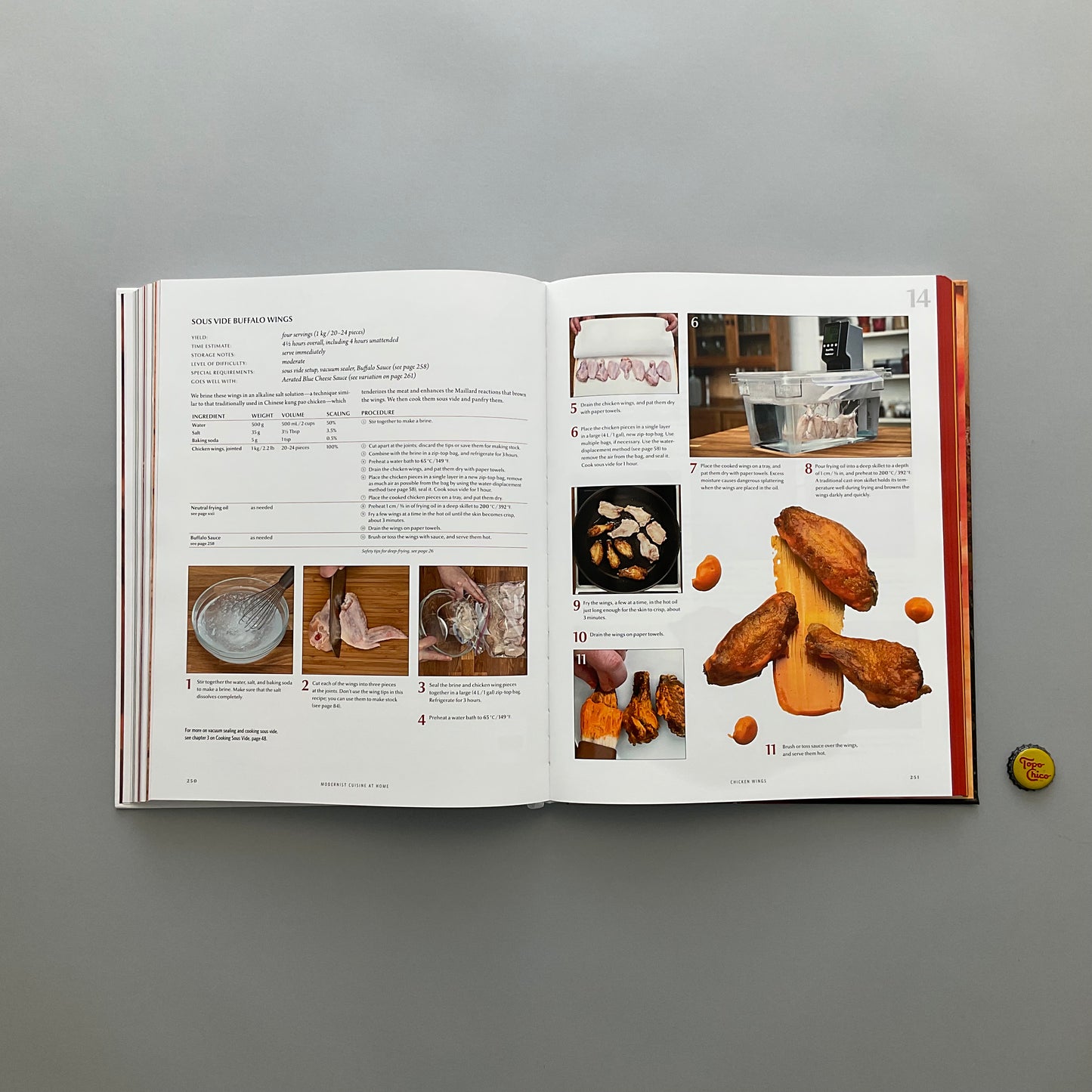 The Modernist Cuisine at Home Book