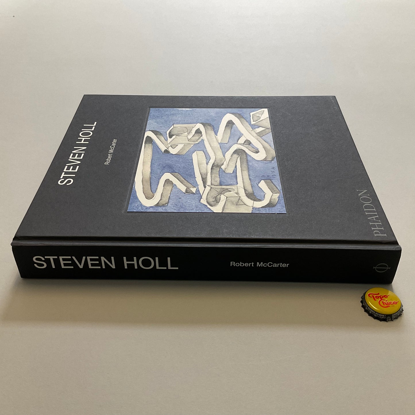 Steven Holl Book