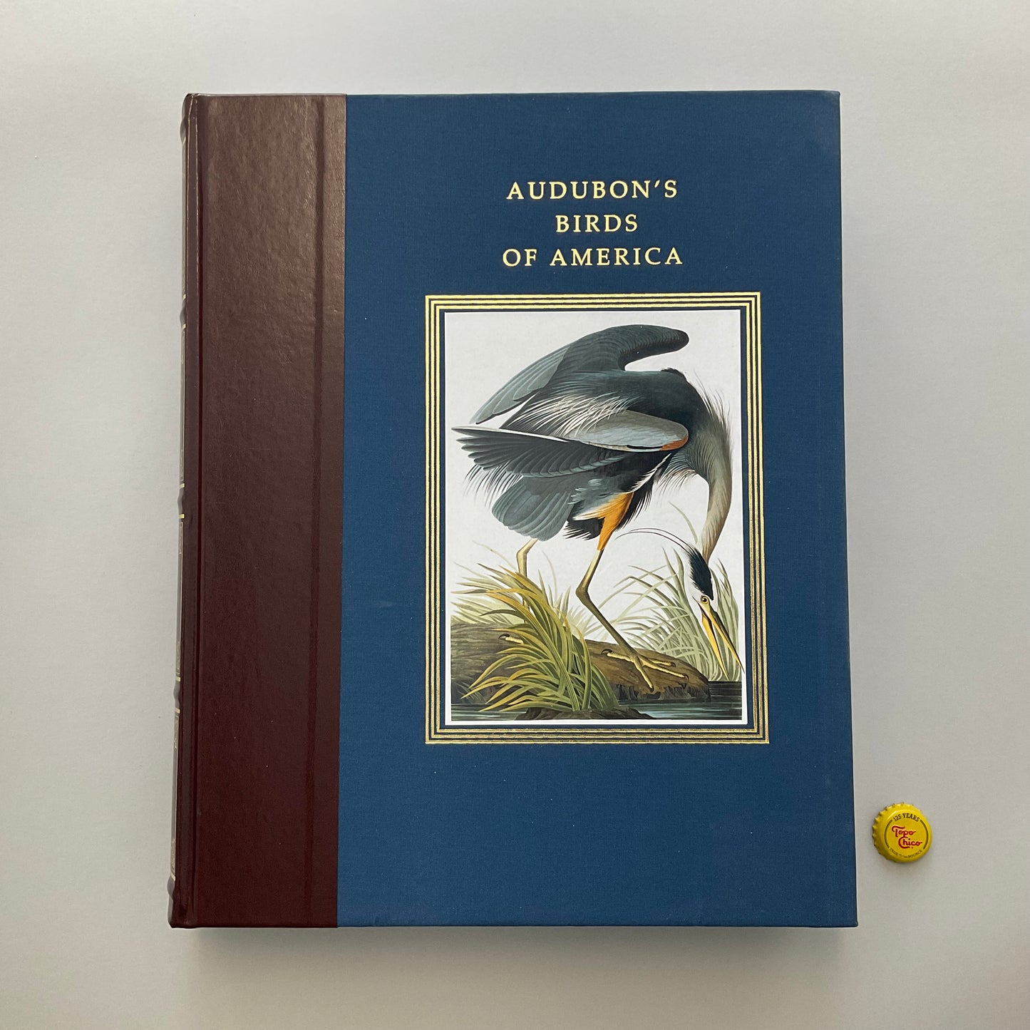 Audobon’s Birds of America