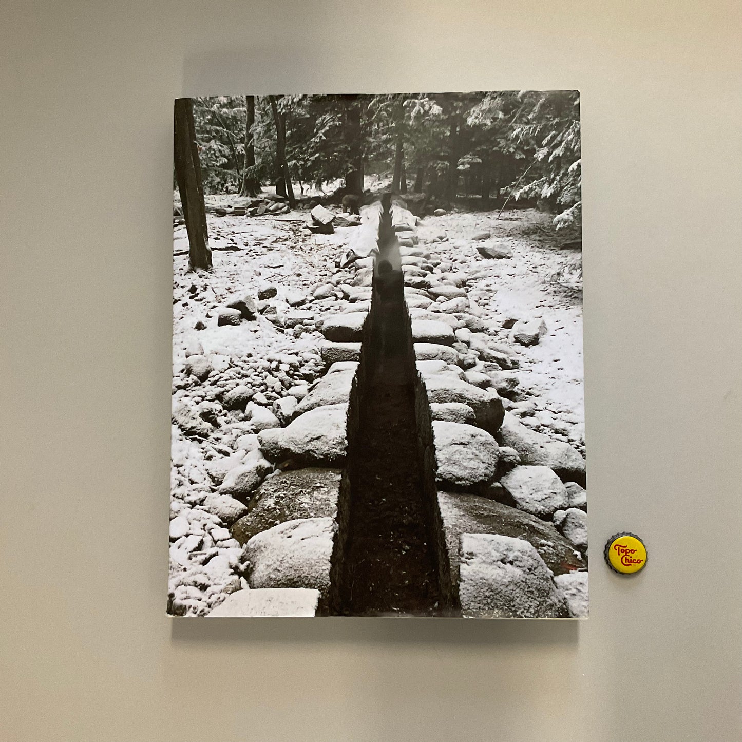 Andy Goldsworthy: Projects