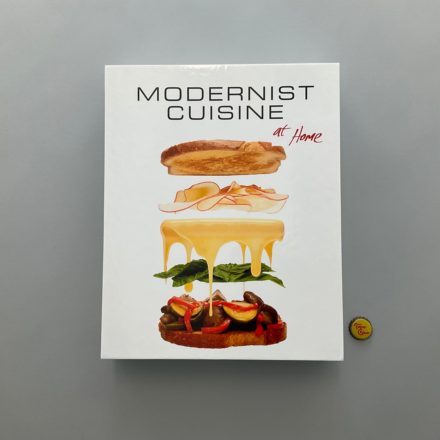 The Modernist Cuisine at Home Book